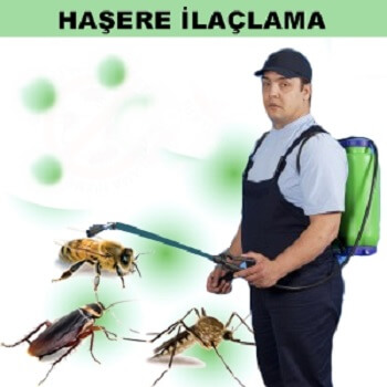 Göynücek Böcek İlaçlama